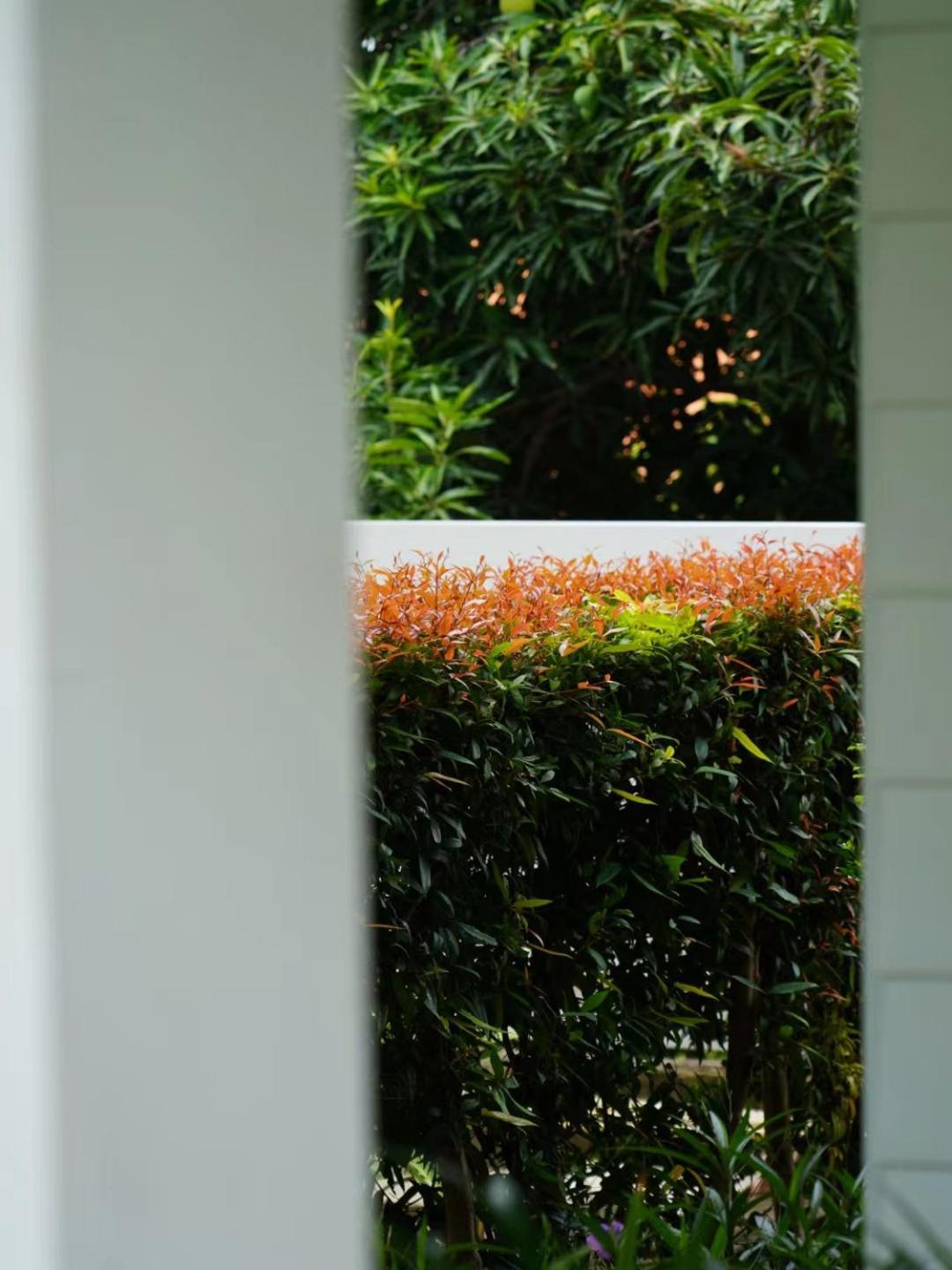 Pailin Pool Villa,huahin Homestay