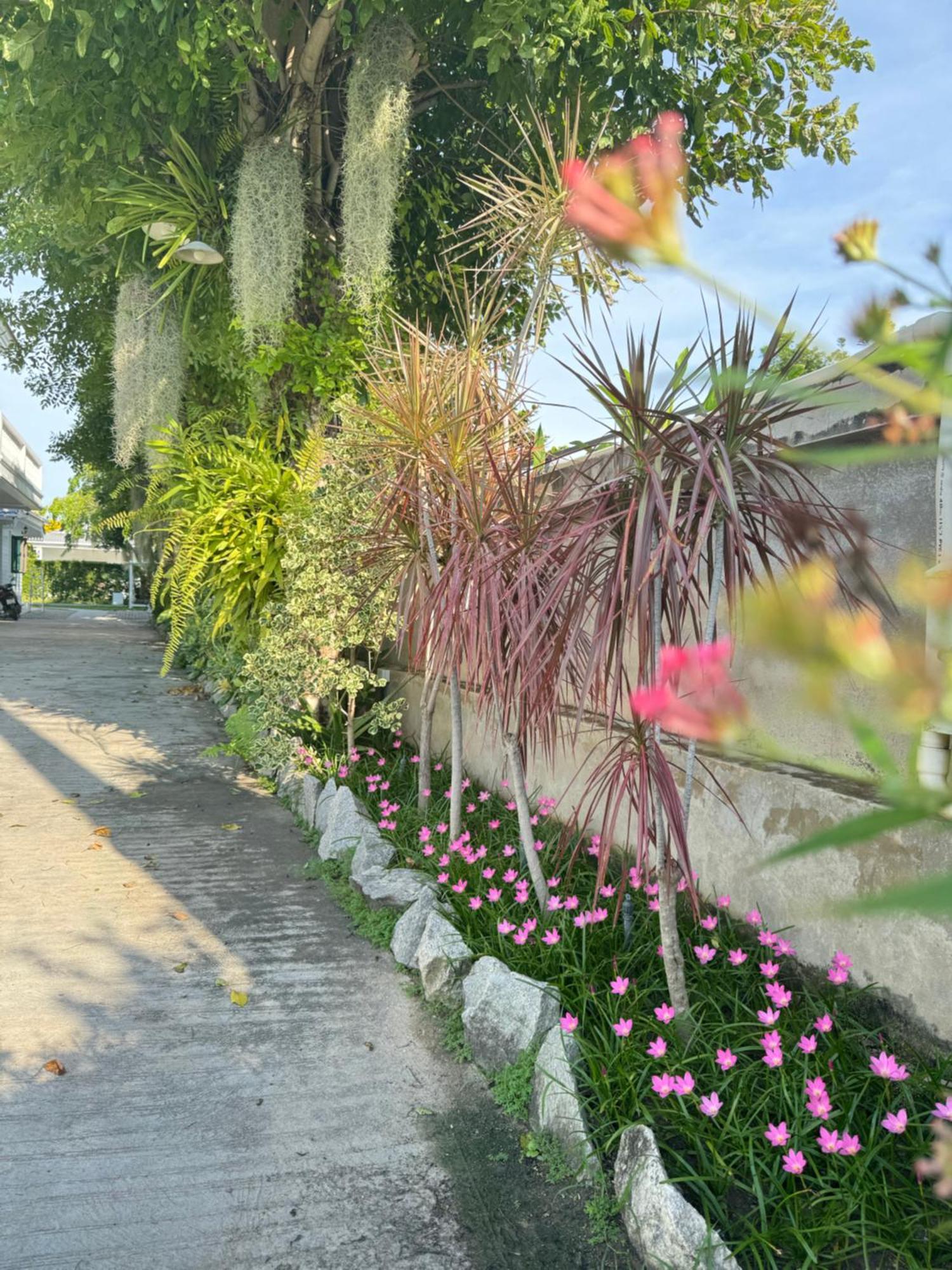Pailin Pool Villa,huahin * Hua Hin